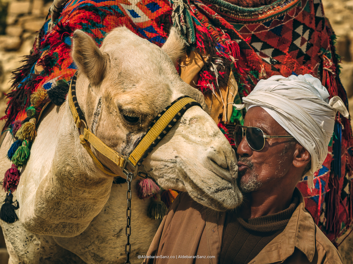 Isham, Camellero de El Cairo, Egipto - © Aldebaran Sanz