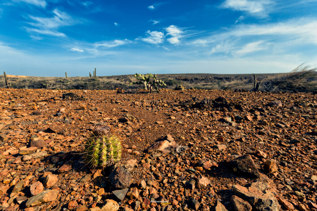Parque Natural Arikok - Aruba | © Aldebaran Sanz
